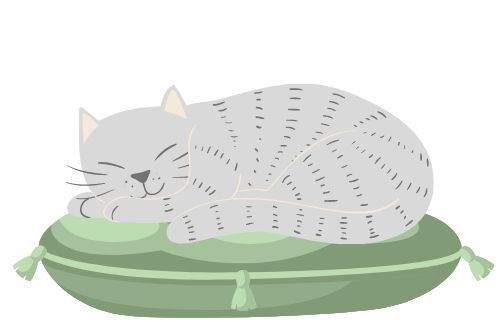 katzenschlafplatz kissen katzen