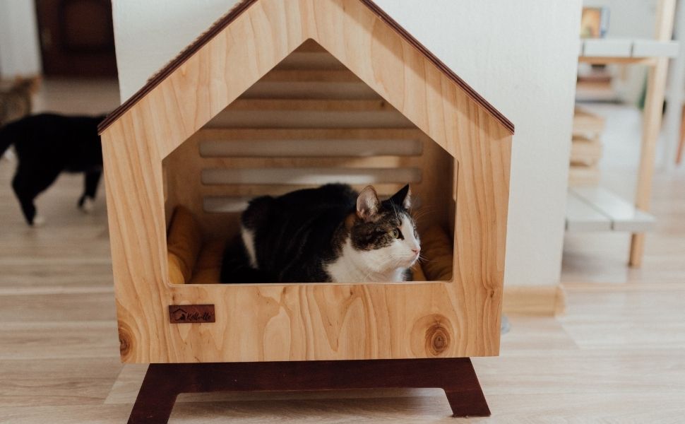 Katzenhöhle aus Holz in Hausform