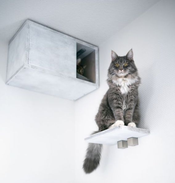 Katzenhöhle für die Wand